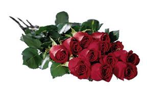 valentines roses perth